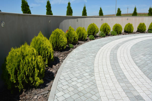 Best Professional Driveway Pavers  in Aspen Hill, MD